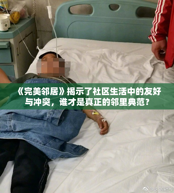 《完美邻居》揭示了社区生活中的友好与冲突，谁才是真正的邻里典范？