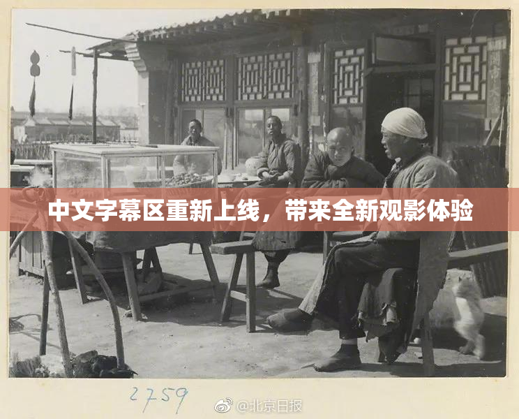 中文字幕区重新上线，带来全新观影体验