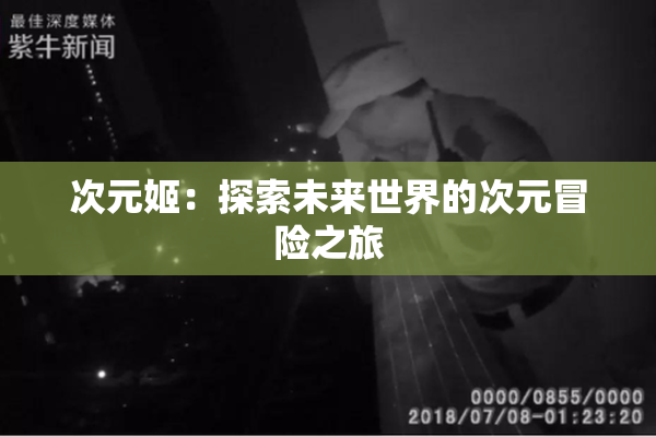 次元姬：探索未来世界的次元冒险之旅