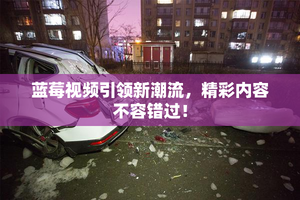 蓝莓视频引领新潮流，精彩内容不容错过！
