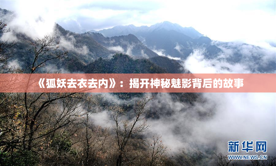 《狐妖去衣去内》：揭开神秘魅影背后的故事