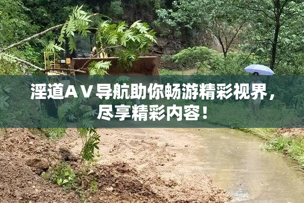 淫道AⅤ导航助你畅游精彩视界，尽享精彩内容！