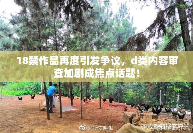 18禁作品再度引发争议，d类内容审查加剧成焦点话题！