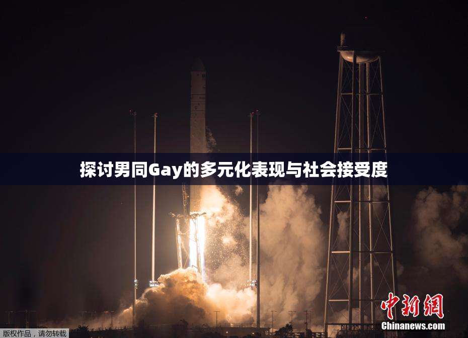 探讨男同Gay的多元化表现与社会接受度