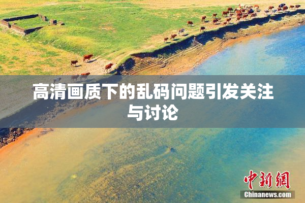 高清画质下的乱码问题引发关注与讨论