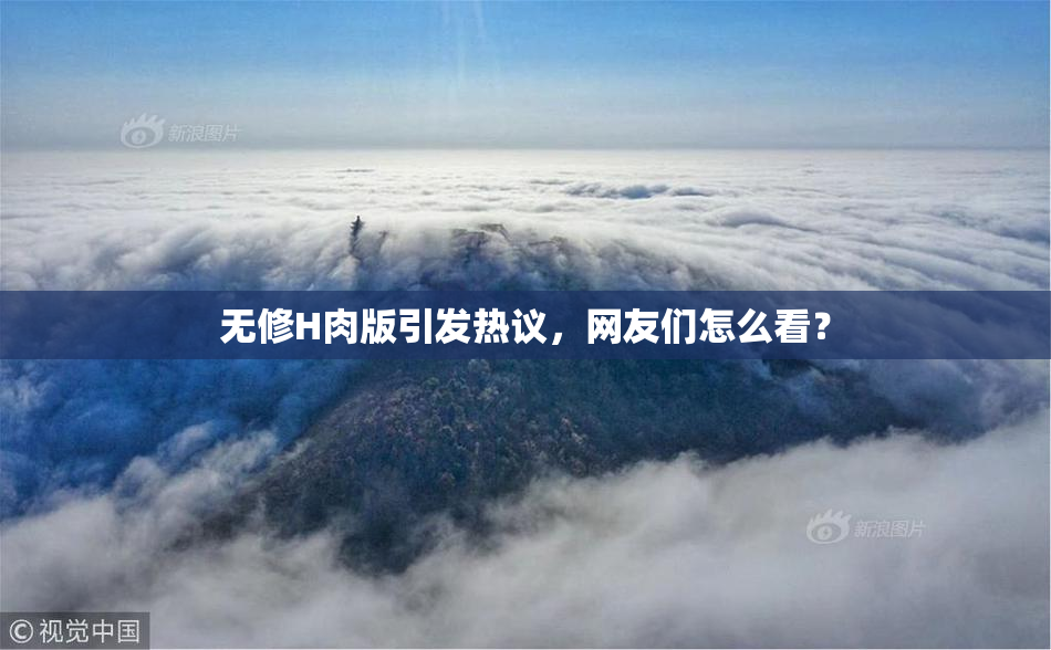 无修H肉版引发热议，网友们怎么看？