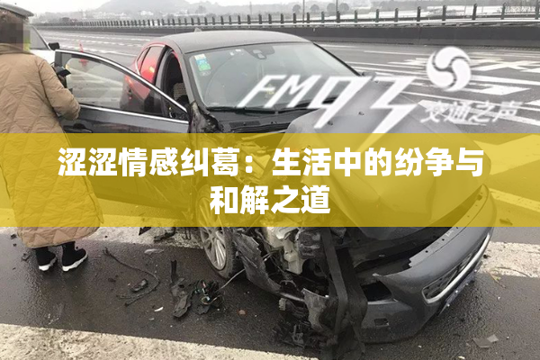 涩涩情感纠葛：生活中的纷争与和解之道