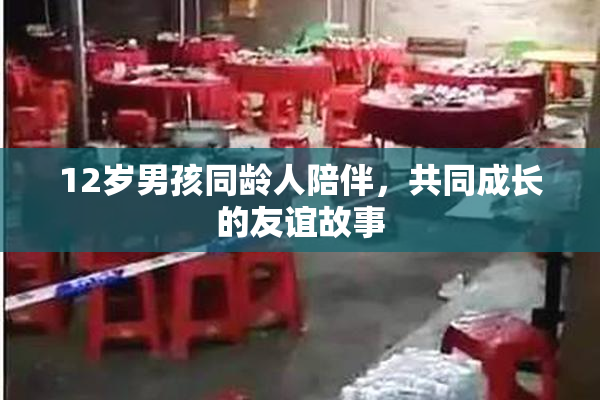 12岁男孩同龄人陪伴，共同成长的友谊故事