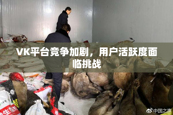 VK平台竞争加剧，用户活跃度面临挑战