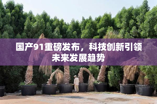 国产91重磅发布，科技创新引领未来发展趋势