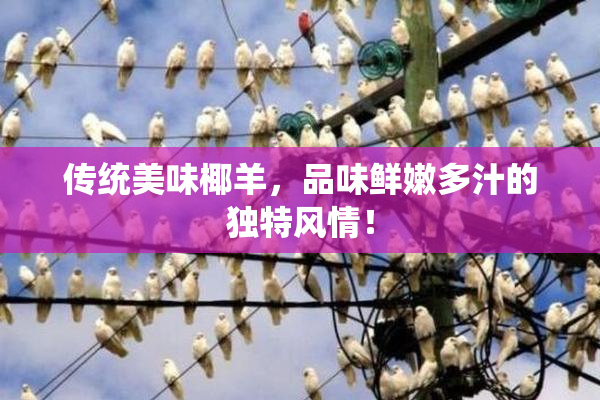 传统美味椰羊，品味鲜嫩多汁的独特风情！