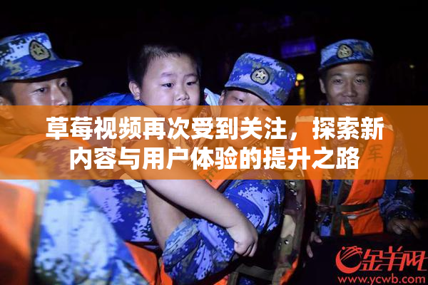 草莓视频再次受到关注，探索新内容与用户体验的提升之路