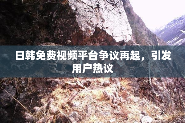 日韩免费视频平台争议再起，引发用户热议