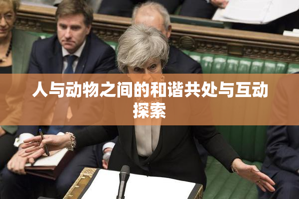 人与动物之间的和谐共处与互动探索