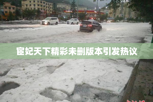 宦妃天下精彩未删版本引发热议