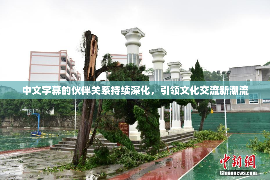中文字幕的伙伴关系持续深化，引领文化交流新潮流
