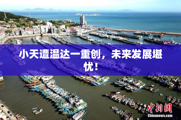 小天遭温达一重创，未来发展堪忧！