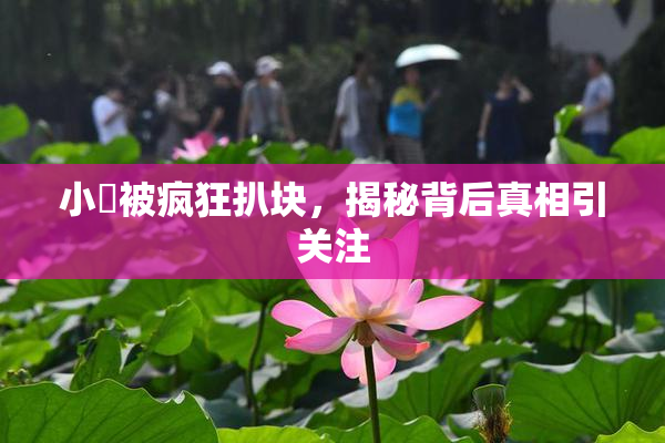 小泬被疯狂扒块，揭秘背后真相引关注
