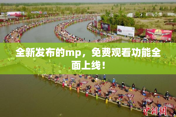全新发布的mp，免费观看功能全面上线！