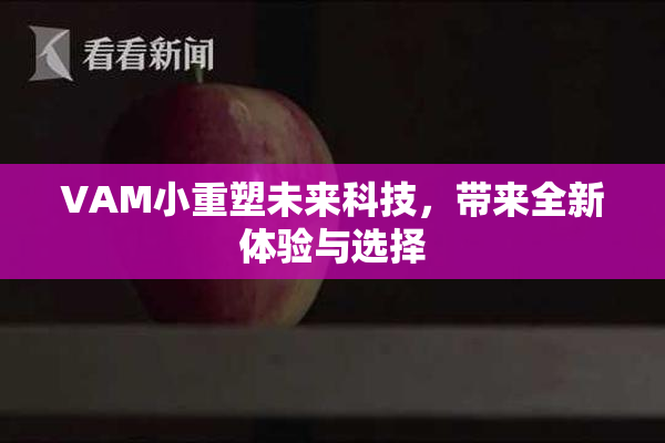 VAM小重塑未来科技，带来全新体验与选择