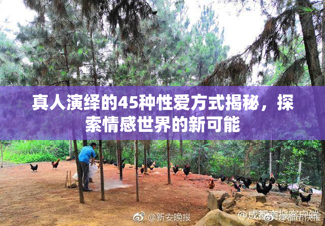 真人演绎的45种性爱方式揭秘，探索情感世界的新可能