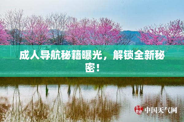 成人导航秘籍曝光，解锁全新秘密！