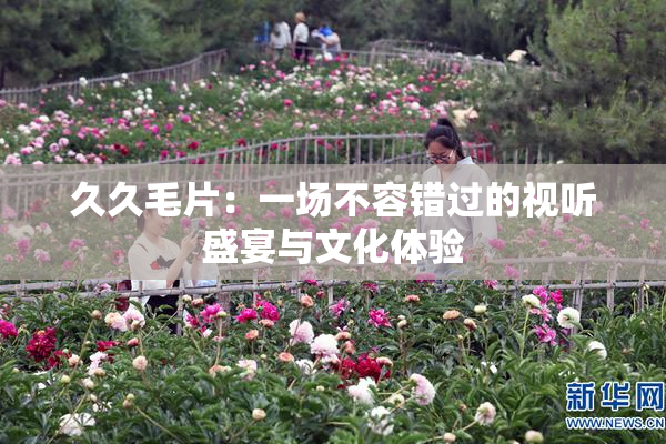 久久毛片：一场不容错过的视听盛宴与文化体验
