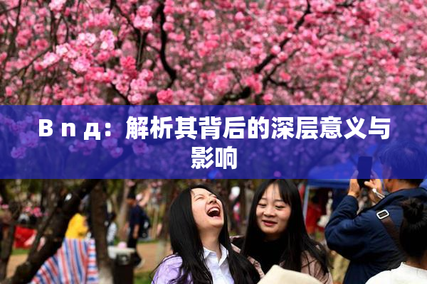 B n д：解析其背后的深层意义与影响