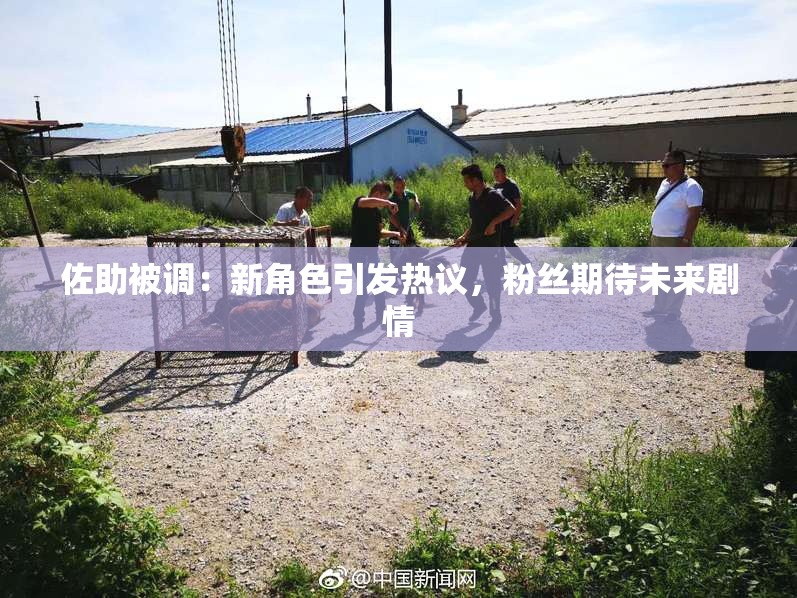佐助被调：新角色引发热议，粉丝期待未来剧情