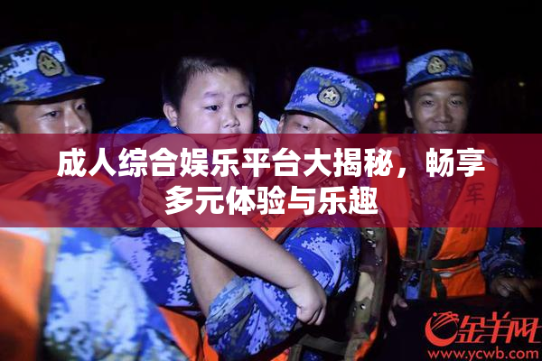 成人综合娱乐平台大揭秘，畅享多元体验与乐趣