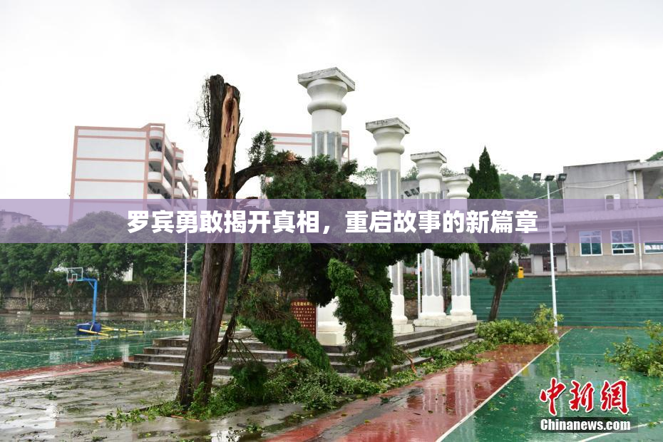 罗宾勇敢揭开真相，重启故事的新篇章