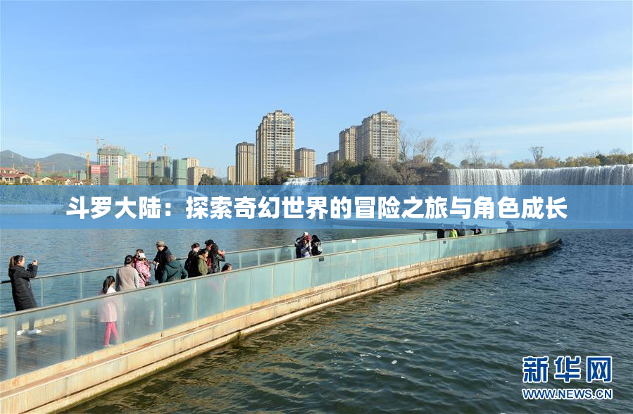 斗罗大陆：探索奇幻世界的冒险之旅与角色成长