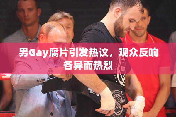 男Gay腐片引发热议，观众反响各异而热烈