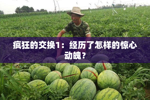 疯狂的交换1：经历了怎样的惊心动魄？