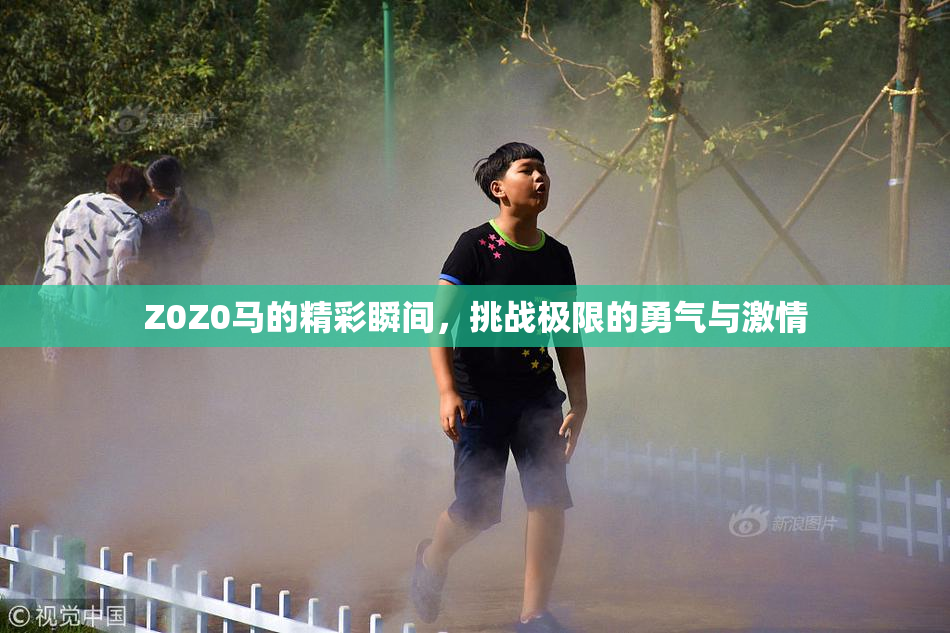 Z0Z0马的精彩瞬间，挑战极限的勇气与激情