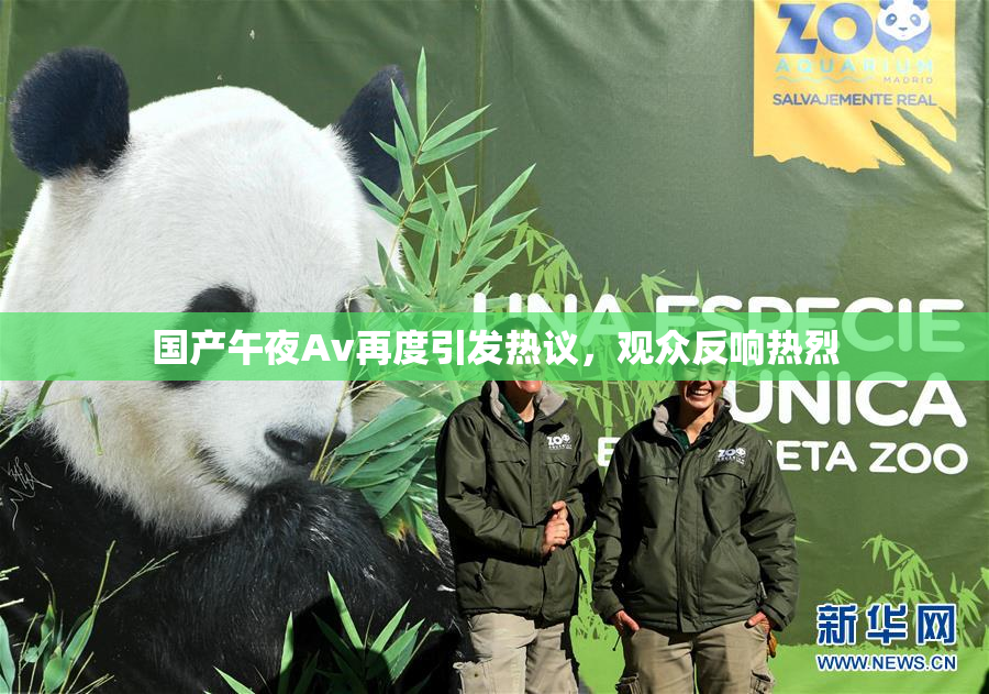 国产午夜Av再度引发热议，观众反响热烈