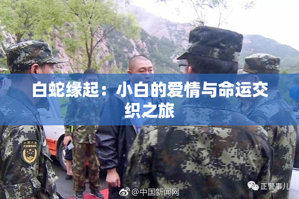 白蛇缘起：小白的爱情与命运交织之旅