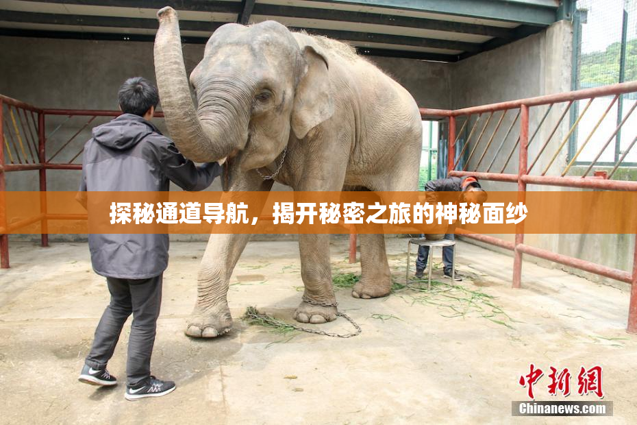 探秘通道导航，揭开秘密之旅的神秘面纱