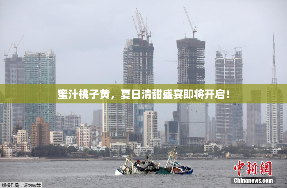 蜜汁桃子黄，夏日清甜盛宴即将开启！