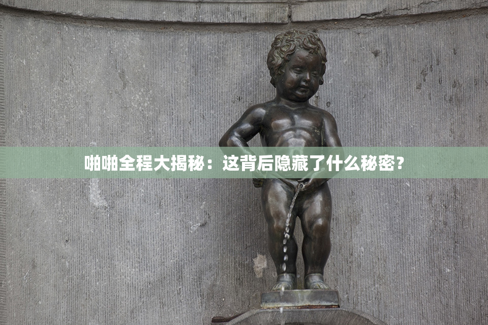啪啪全程大揭秘：这背后隐藏了什么秘密？