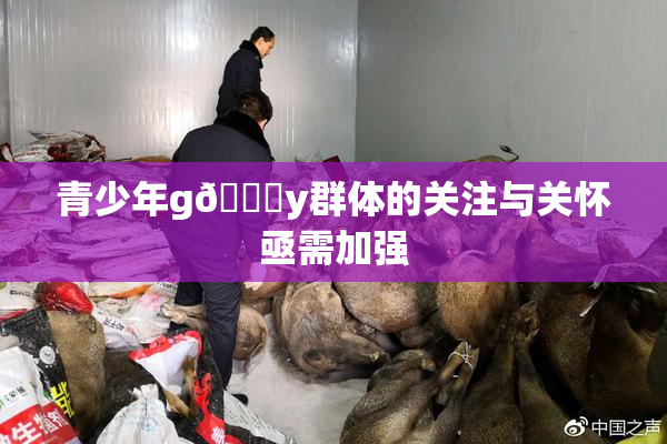 青少年g🈚y群体的关注与关怀亟需加强