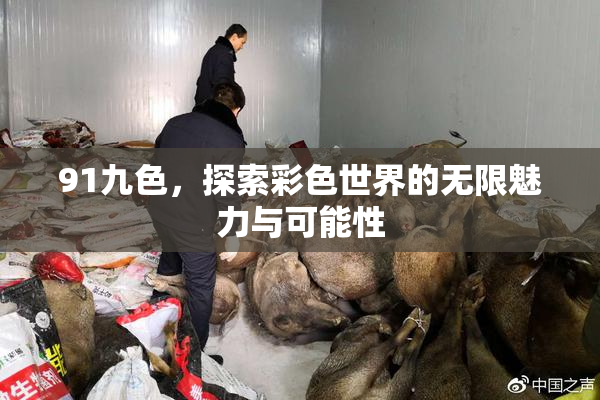 91九色，探索彩色世界的无限魅力与可能性