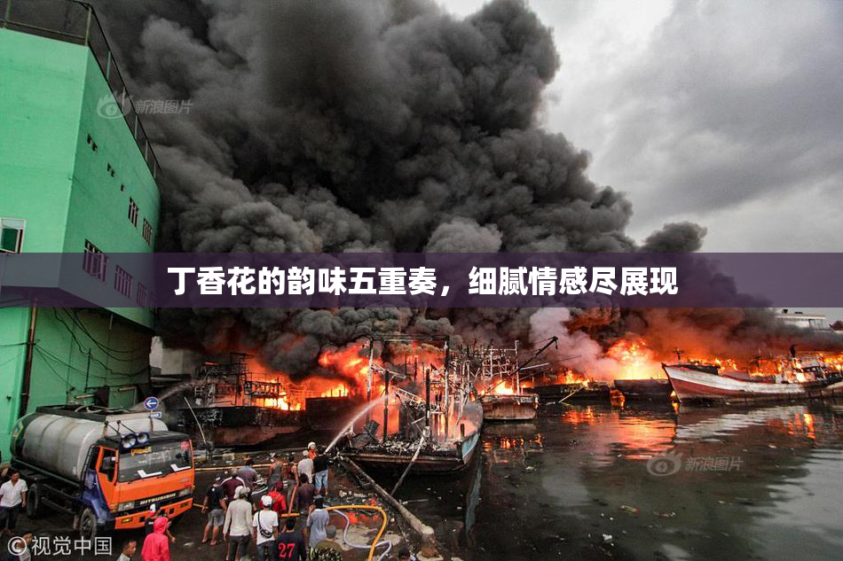 丁香花的韵味五重奏，细腻情感尽展现