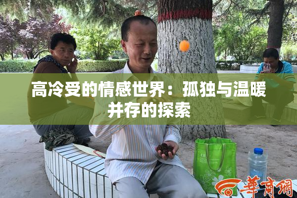 高冷受的情感世界：孤独与温暖并存的探索