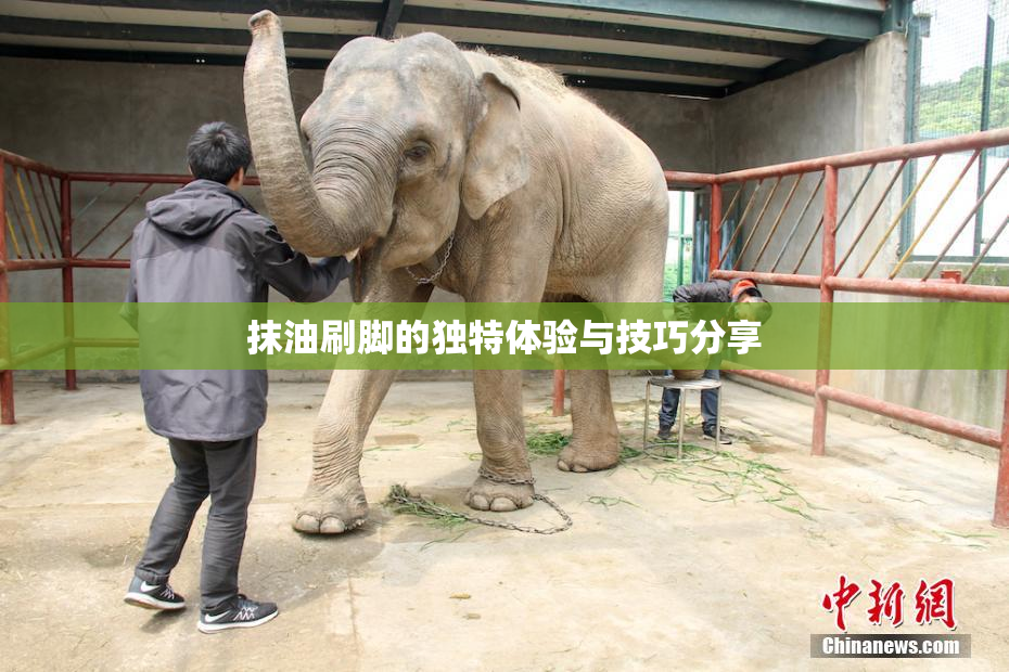 抹油刷脚的独特体验与技巧分享