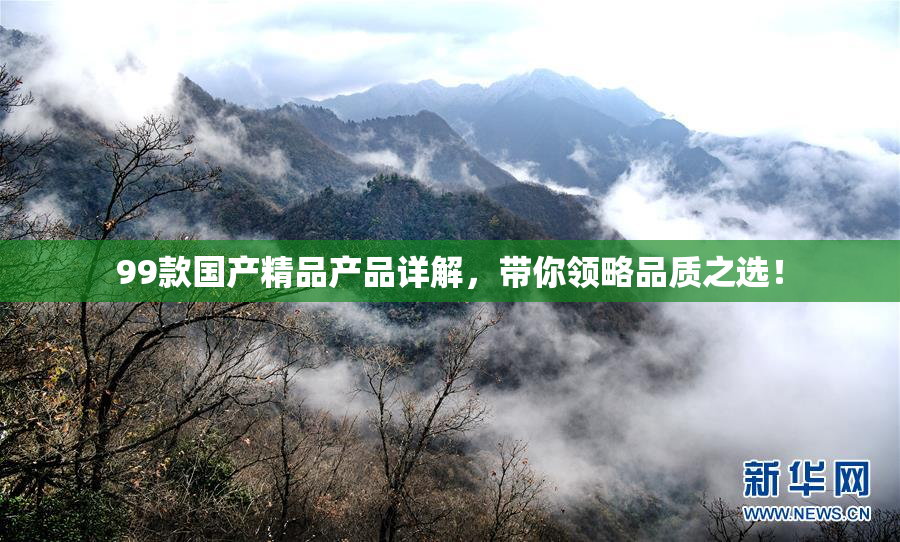 99款国产精品产品详解，带你领略品质之选！