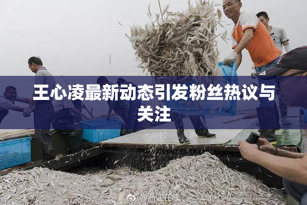 王心凌最新动态引发粉丝热议与关注