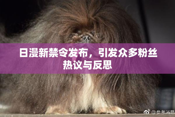 日漫新禁令发布，引发众多粉丝热议与反思