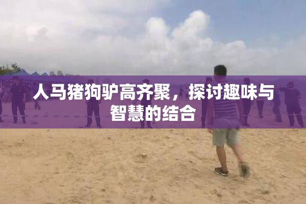 人马猪狗驴高齐聚，探讨趣味与智慧的结合