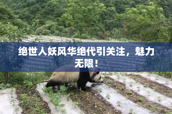 绝世人妖风华绝代引关注，魅力无限！
